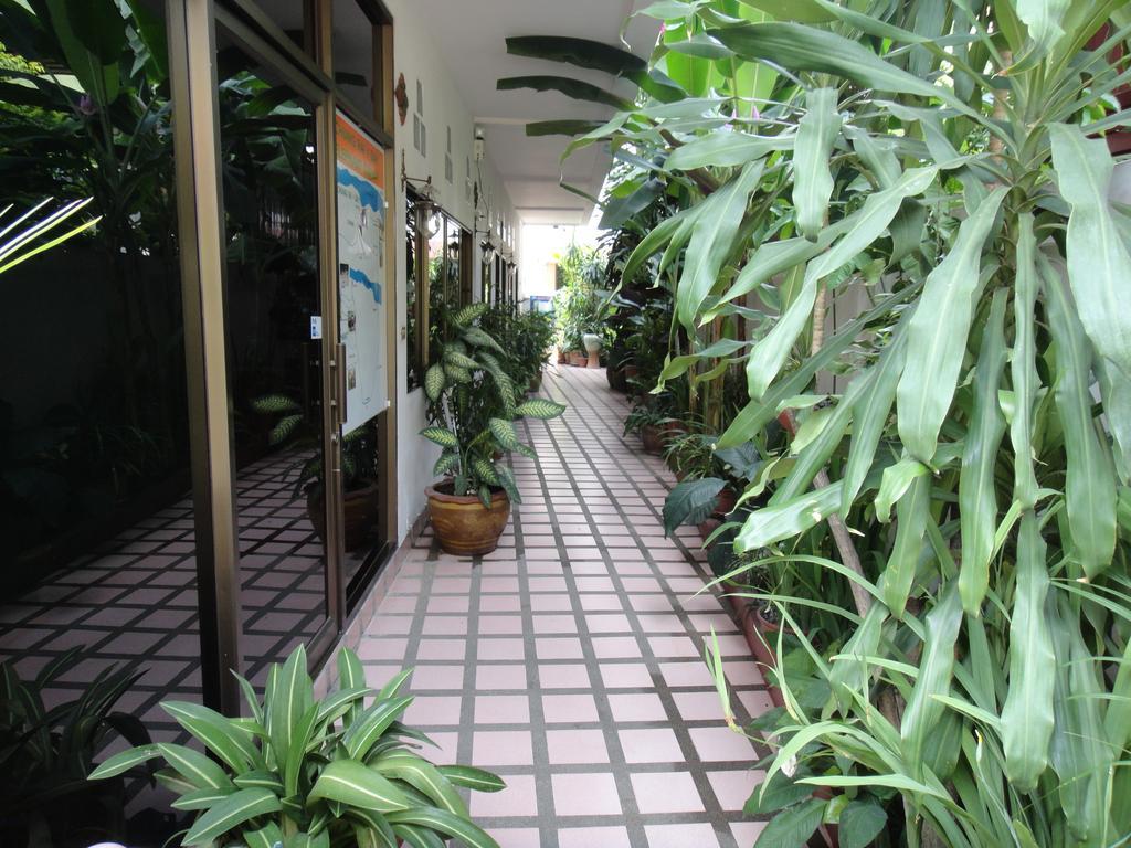 The Red Hibicus Guest House - Chiang Mai — Photos 1